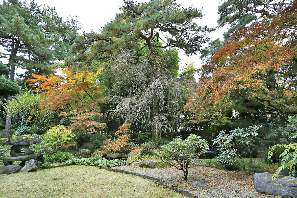 Photo Gallery 冨士大石寺顕正会 公式サイト
