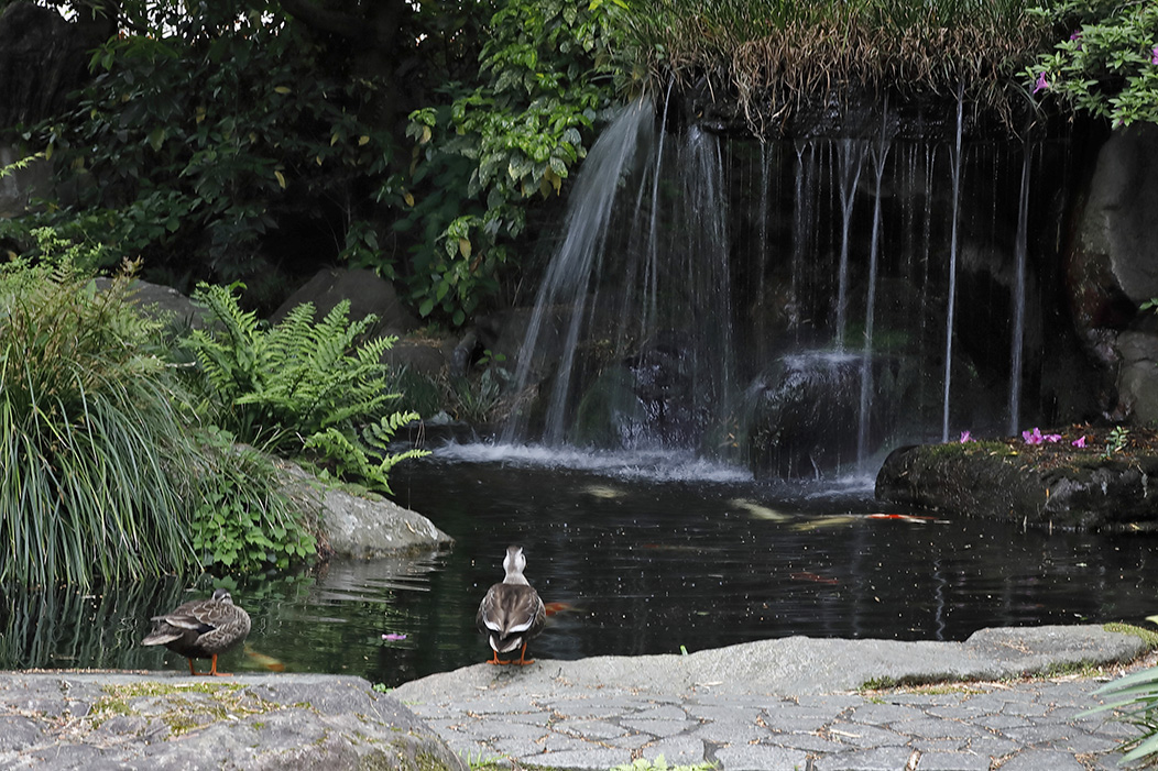 Photo Gallery 冨士大石寺顕正会 公式サイト