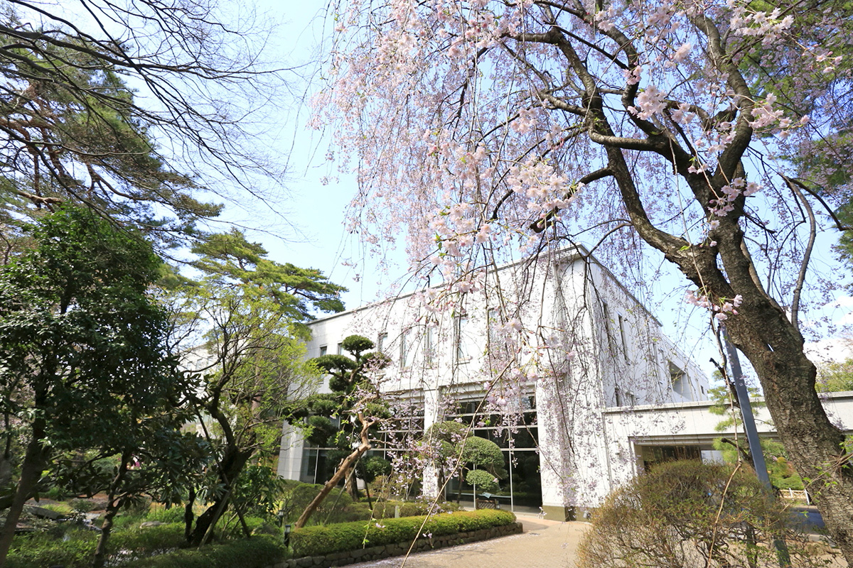 Photo Gallery 冨士大石寺顕正会 公式サイト